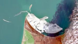 «Айсберги» у берегов Крыма: в Чёрном море обнаружили редкое ледяное поле