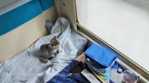 Пассажиры задержавшихся поездов в Крым поделились впечатлениями от поездки