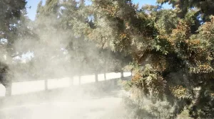 Аллергиков России уже в этом году ждут хорошие новости