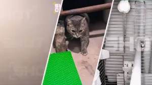 Землетрясение на юге России: трескались потолки и сыпалась плитка