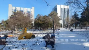 «Курочка» больше не угрожает студентам Крымского федерального университета