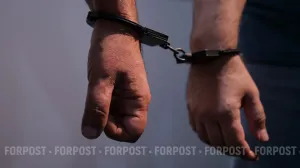 Полиция не может посадить убийцу из-за его брата-близнеца — почему экспертиза не помогает