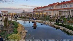 Бакланы-хулиганы охотятся на карпов кои в Новом Херсонесе