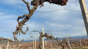 Правительство РФ разработало новый законопроект для Крыма и Севастополя 