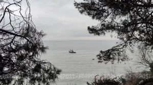 Шторм, лёд или дрейф: какие шансы остаются у пропавших в Азовском море рыбаков