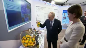 «Ой, красотки»: Владимир Путин оценил внешний вид крымских лимонов