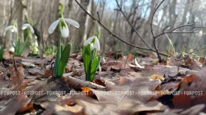 Погода в Крыму не готовит неприятных сюрпризов на праздничные выходные