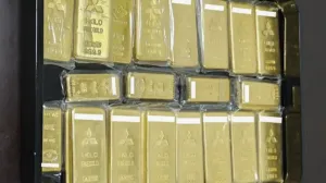 Анонимный японец пожертвовал 21 килограмм золота для ремонта городской канализации