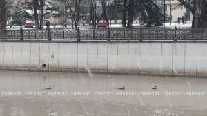 Морские охотники внезапно облюбовали столицу Крыма