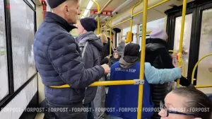 Сколько «зайцев» скачут в севастопольских автобусах и троллейбусах?