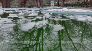 Весна не спешит в Крым