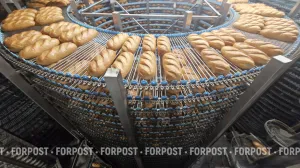 Где самое хлебное место Севастополя