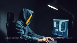 Аферисты собрали с жителей Севастополя почти 5 миллионов за три дня