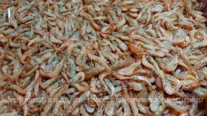 Крымские креветки за полмиллиона обернулись для рыбака уголовным делом