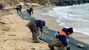 Севастопольских учёных наградили за прогноз движения мазута в Чёрном море