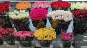 Сто рублей за тюльпан: почему в Севастополе и Крыму цветы дешевле, чем в среднем по России