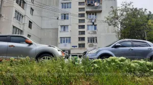 Какие подержанные машины улетают с рук в России быстрее всего