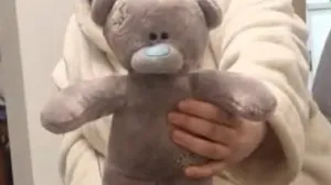 Девушка нашла прах человека в игрушке из благотворительного магазина