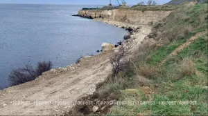 Работы в Карантинной бухте в Севастополе могли вести с нарушениями природоохранного законодательства