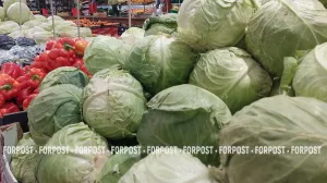 На юге России усиливают продовольственную безопасность