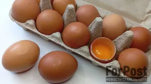 На юге России усиливают продовольственную безопасность