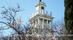 Где сейчас можно увидеть самый красивый март