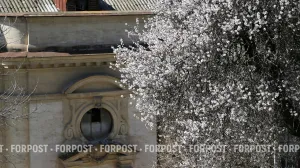 Севастополь входит в устойчивую весну