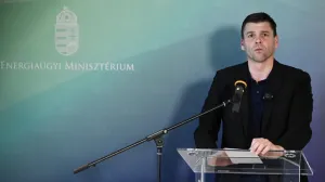 Венгерский инспектор не поехал осматривать «Дружбу» из-за страха мобилизации