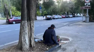 Ни животным, ни людям: надежда на создание приютов для бездомных становится все призрачней