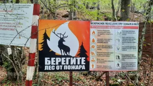 43 территории риска: в Севастополе начинается пожароопасный сезон