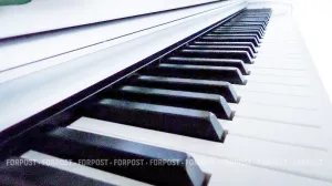 Гид по музыкальному образованию Севастополя