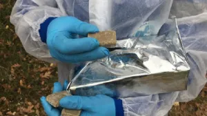 Диких хищников Севастополя ждёт особое угощение