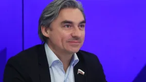 За что могли выгнать из ЛДПР депутата, который говорил о проблемах с Telegram