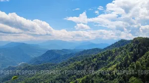 Как новый закон может открыть Байдарскую долину для застройки