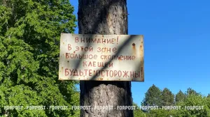 Полтора часа тихой угрозы: чего вы не знали о клещах и защите от них