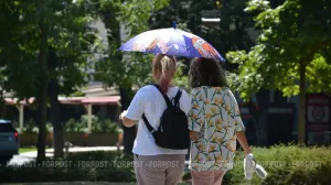 Женщин, не планирующих рожать, будут направлять к психологу