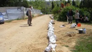 Хроника одной победы: как севастопольцы отстояли парк в Камышовой бухте