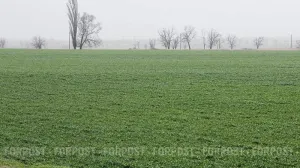 Как крымским аграриям предлагают повышать урожай с помощью микробов