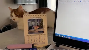 Размер имеет значение: стоит ли дробить отпуск на части