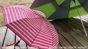 В Севастополе снова потребуются зонтики 