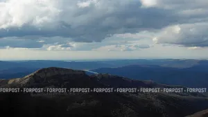 Почему крымские окаменелости не имеют аналогов в России: история одного экспоната