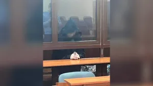 Жительница Подмосковья проведёт остаток дней в тюрьме из-за съёмки военной техники в Крыму