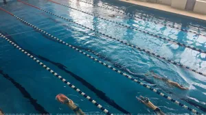 В Севастополе до конца года должен появиться новый бассейн 