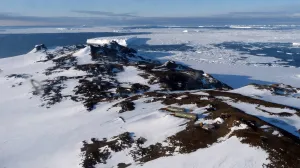 Российские учёные нашли оазис во льдах Антарктиды, возле Полюса ветров