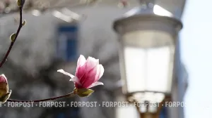 Погода в Севастополе на неделю: дожди, похолодание и пасмурные дни