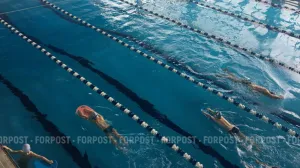 Севастополь сможет принять всероссийские соревнования по водным видам спорта