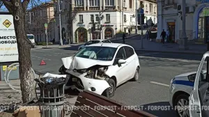 В ДТП на Большой Морской в Севастополе пострадали дерево и машина