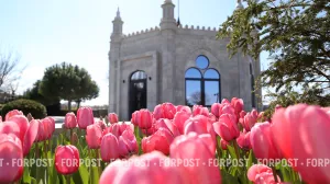 Севастополь накроют дожди и холодный ветер
