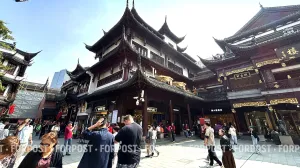 Жемчужина Востока: свет, ритм и древность