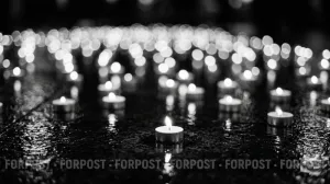 Из зоны СВО не вернулись домой четверо крымчан